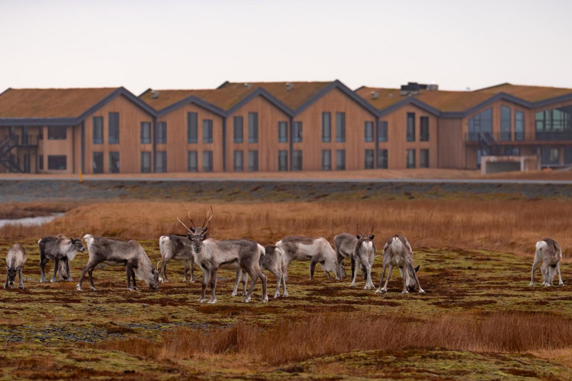 Hotel Joekulsarlon - Glacier Lagoon Hotel Gerdi المظهر الخارجي الصورة